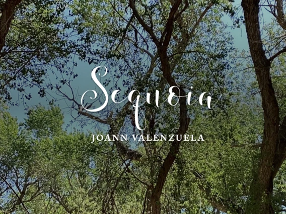 Tall trees with green leaves against a clear blue sky. Overlaid decorative text reads "Sequoia" by Joann Valenzuela.